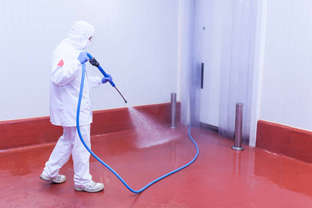 Best Sidewalk and Walkway Cleaning  in Wright, FL